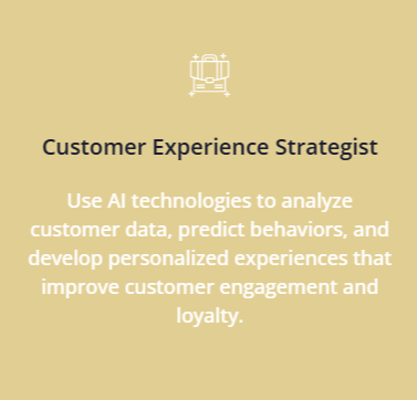 Customer Experience Strategist